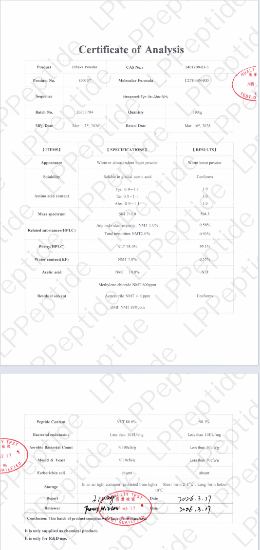 Test Report: dihexa