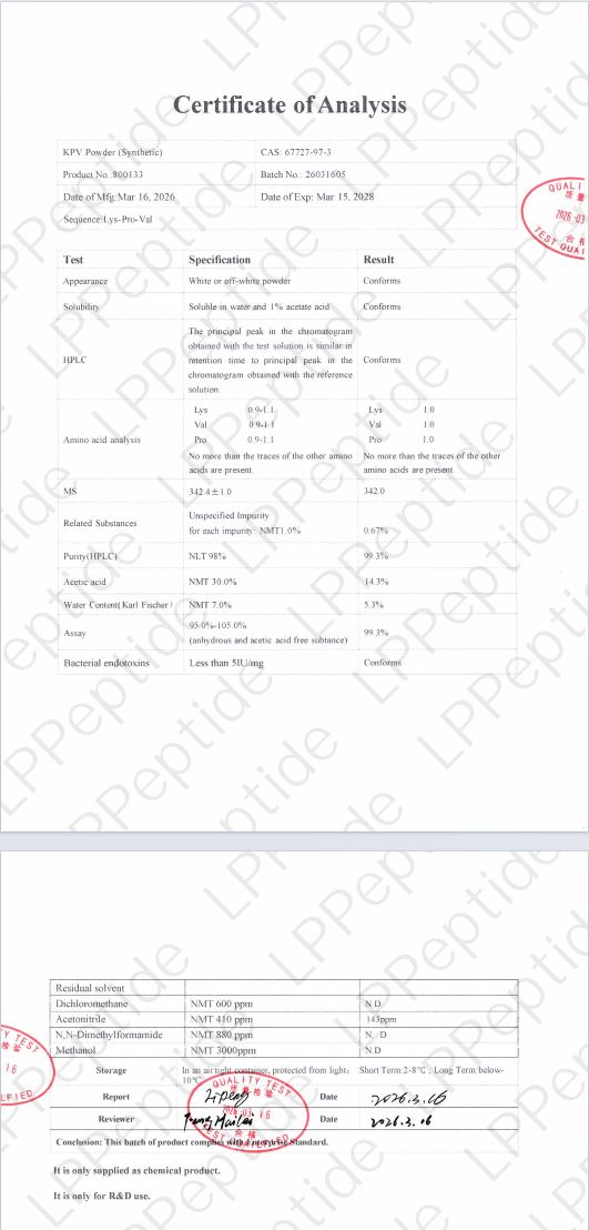 Test Report: kpv