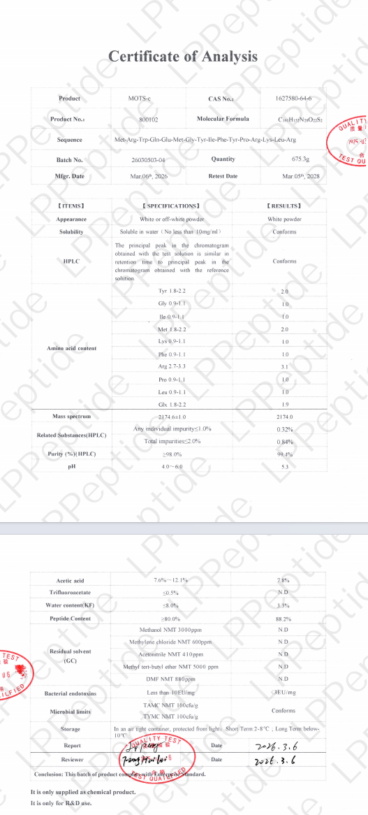 Test Report: ms