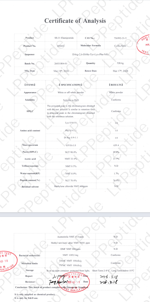 Test Report: ss-31