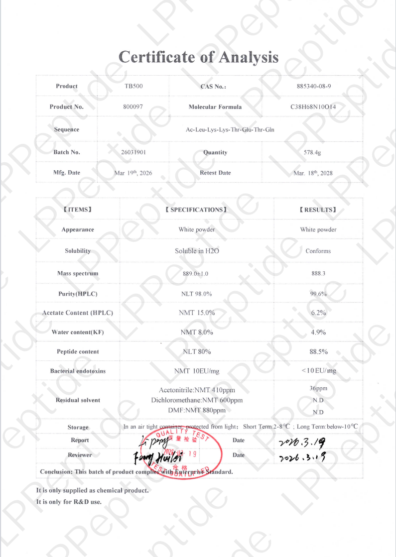 Test Report: tb500